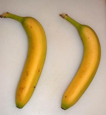 Figure 5: Control Banana on the left