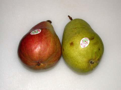 Figure 6: Control Pear on the Right,