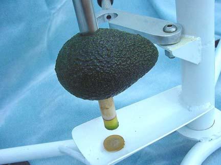 extraction of core from fruit,