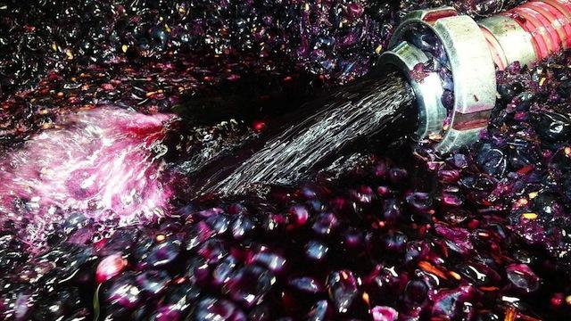 Pressing the red wine from the skins after fermentation was traditionally achieved by using a basket press; however at Creation we employ a bladder press: a rubber bladder enclosed in a cylinder