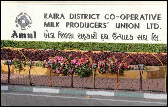 REPORT ON INDUTRIAL Anand Milk Union limited