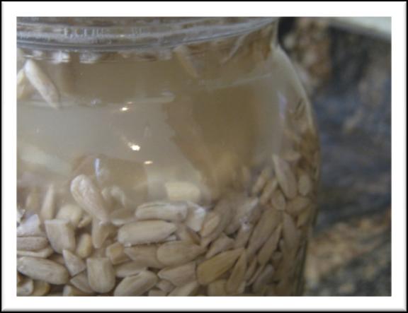 How to Soak, Sprout, and Dehydrate Nuts, Beans, and Seeds Why should I go through the trouble of soaking nuts, beans, and seeds?