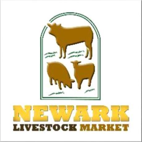 Wednesday in Newark Market We are currently running Red Sales for Cull Cows, OTMs, Young Bulls and Clean Cattle.