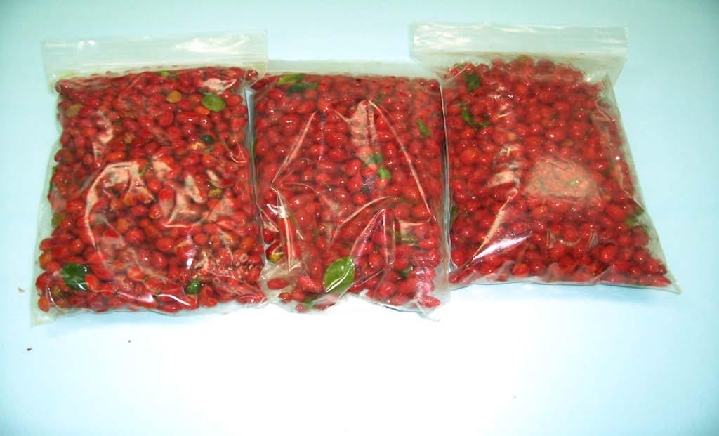 Berries put in bags