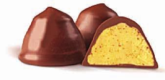 Belgian Range DESSERT FLAVOURS About the brand The Belgian Founded in 1956, The Belgian Chocolate Group is a well-established manufacturer and exporter of premium chocolate products,