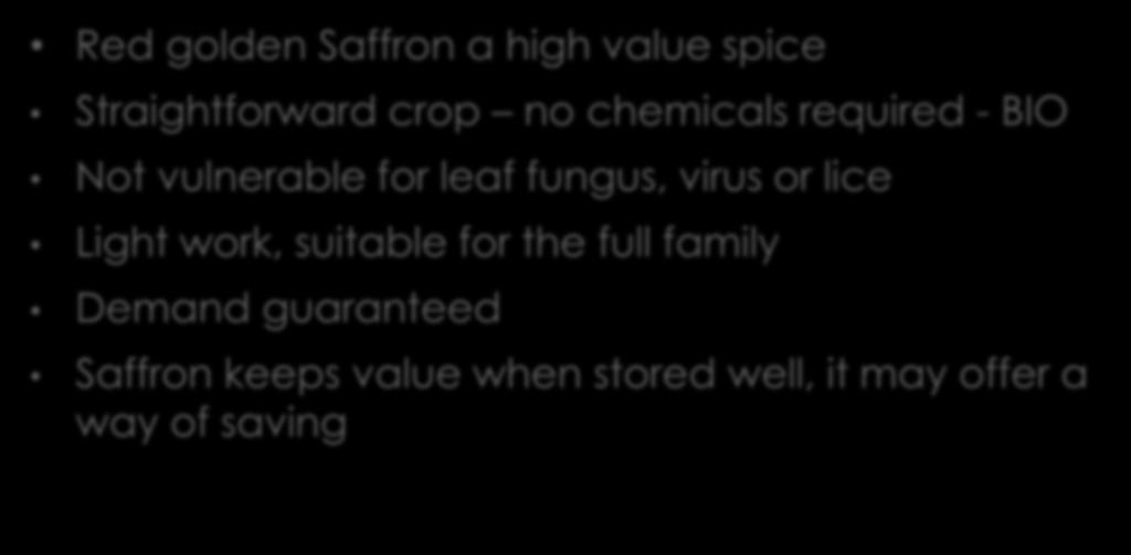Conclusion Red golden Saffron a high value spice Straightforward crop no chemicals required - BIO Not vulnerable for leaf fungus,