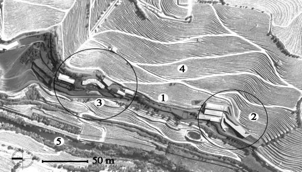 Fig. 1. Site plan the relevance to the landscape pattern: 1. built area; 2. production zone; 3. leisure zone; 4. terraced vineyards; 5. Corgo River Fig. 2. Site plan courtyard scale: 1.