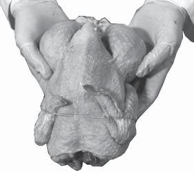 legs of the chicken. Figure 5.