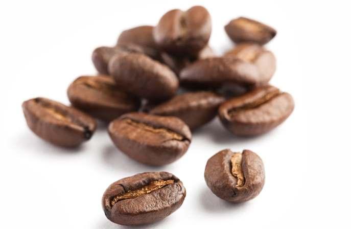 REGENT COFFEE Coffee