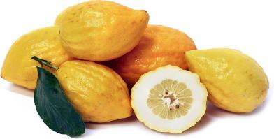 Citrons are native to