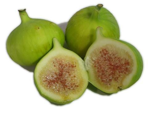 Common figs such as Kadota and