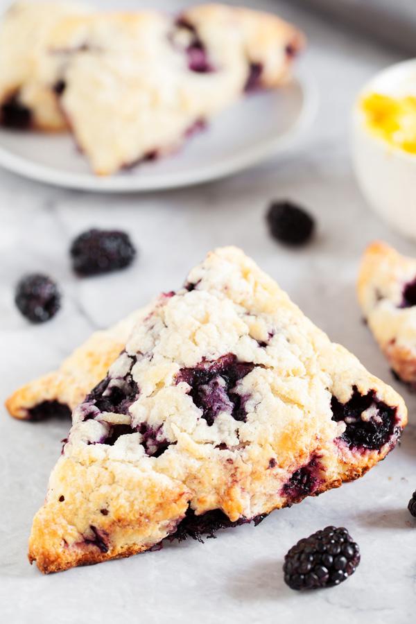 Blackberry Scones 1 ½ cups fresh blackberries ½ cup whole milk, cold ½ cup sour cream, cold 2 cups all-purpose flour ½ cup sugar, plus extra for sprinkling 2 teaspoons baking powder ¼ teaspoon baking
