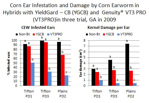 infestations from 2009 show how GENVT3P is more effective at preventing ear infestation and damage by corn earworm than the older YieldGard-CB.