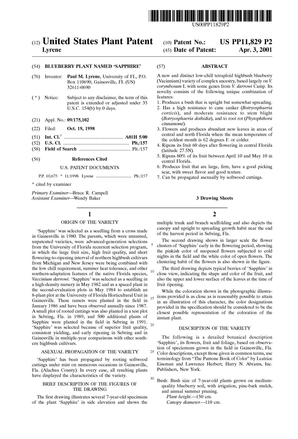USOOPP11829P2 (12) United States Plant Patent Lyrene (10) Patent No.: (45) Date of Patent: Apr. 3, 2001 (54) BLUEBERRY PLANT NAMED SAPPHIRE (76) Inventor: Paul M. Lyrene, University of FL, P.O. Box 110690, Gainesville, FL (US) 32611-0690 (*) Notice: Subject to any disclaimer, the term of this patent is extended or adjusted under 35 U.