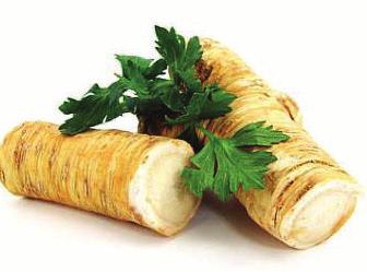 Horseradish How to care for your Crowns upon Arrival: Remove Horseradish crowns from shipping box. Do not water the crowns. Store Horseradish crowns in a cool dry area until they can be planted.