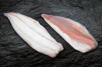 Sebastes mentella Skin on Redfish Fillets 70-130, 130-200,