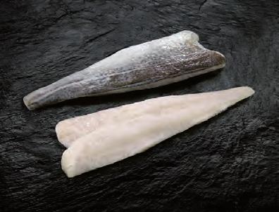 Greenshell Mussels IQF 20-30, 30-45,