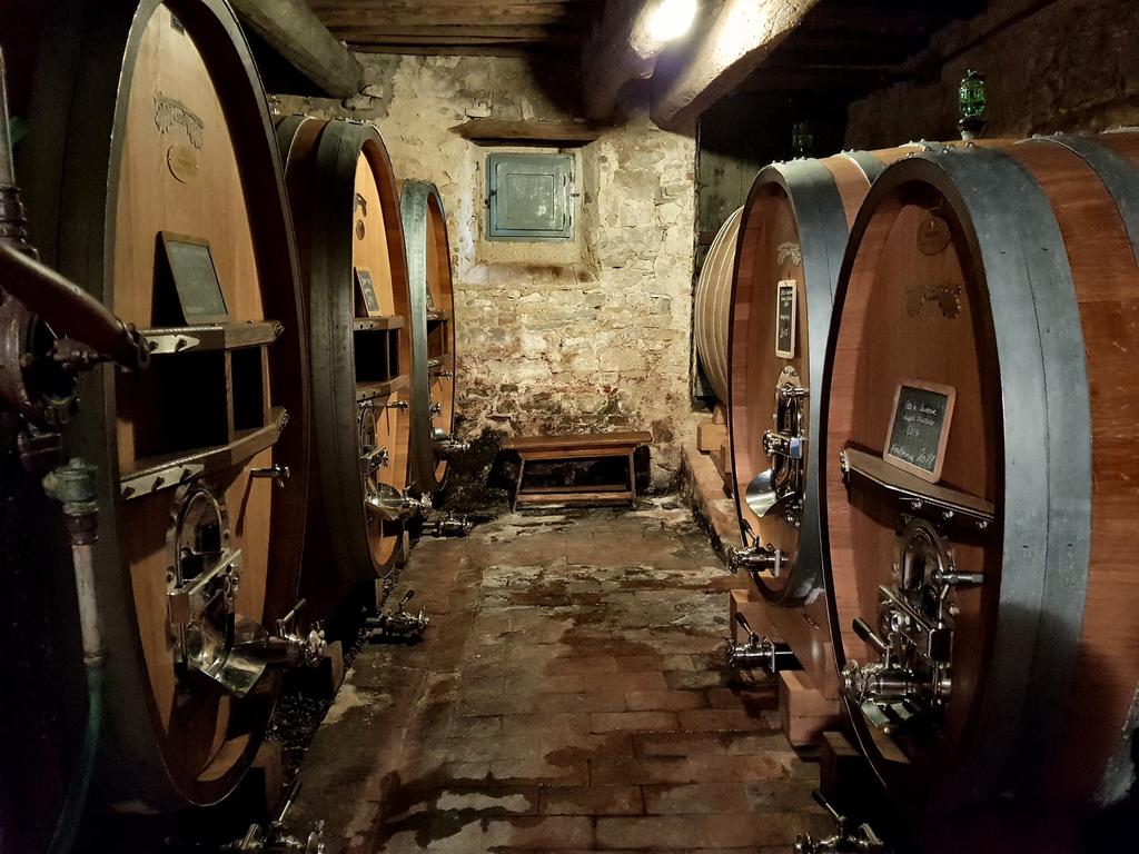 Barrel room THE WINES 2016 Trebbiano First trialled as an experimental wine in 2010, a mere four François Frères barriques (50% new) are produced from less than ten rows of 40-year-old Trebbiano