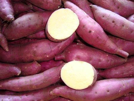 A PROFILE OF THE SOUTH AFRICAN SWEET POTATO