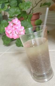U S E RNAME: ECOHAWKS HEALTHY DRINK Making the agave, chia seed drink was extremely easy, according to Ben Y.