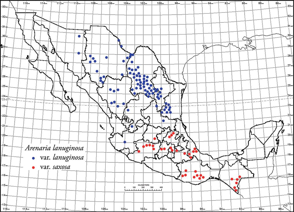 NUMBER 19 TURNER: TAXONOMY OF ARENARIA LANUGINOSA 3 FIG. 2. Distribution of the two varieties of Arenaria lanuginosa in Mexico, based on specimens examined by the author, mainly at TEX-LL.