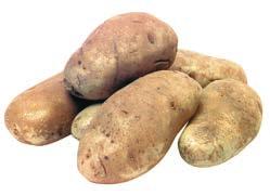 or Russet Potatoes 0 79 Pkg.