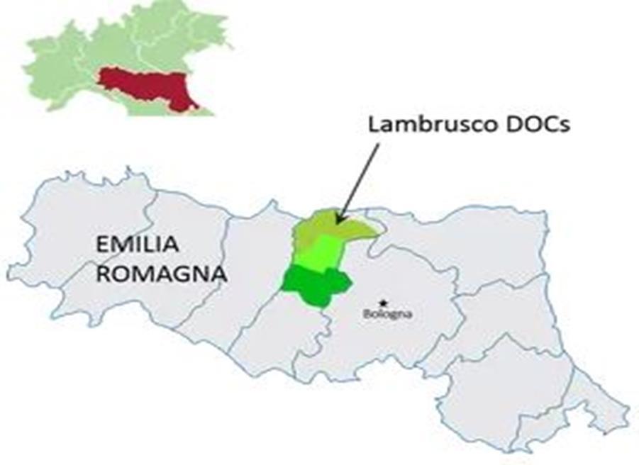 Lambrusco DOC (4)