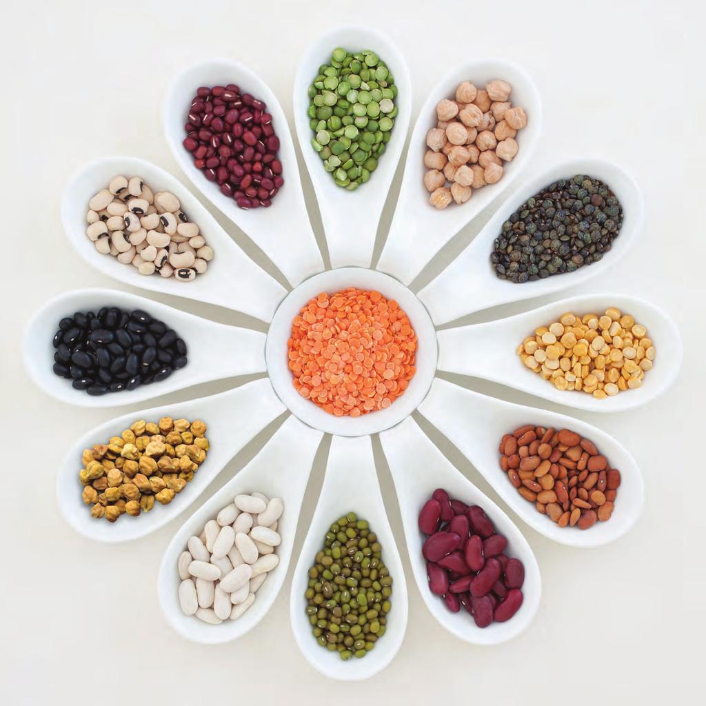 meet PulsEs: The Health Pwerhuses Pulses, in technical terms, are the dry, edible seeds f plants in the legume family.