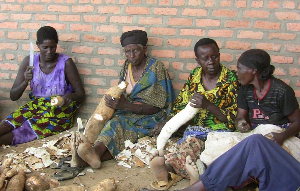 Cassava preparation: peeling Cassava, Manihot