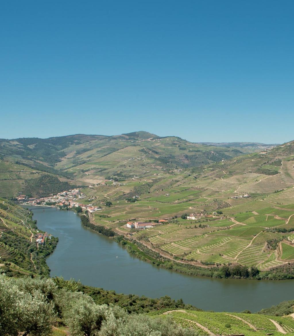 DOURO RIVER The navigability of the Douro has always been a matter of great importance especially for economic reasons.