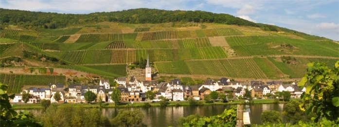 After Cochem we drive along the winding river to Traben-Trarbach, where we visit a medieval wine cellar for a fantastic tasting experience.