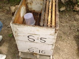 This feeder is placed on the extreme side of the hive where space is available The syrup can also be fed by filling in empty combs.