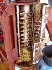 Each 200 kg sample of coffee was divided into two lots 100 kg each for Process A and Process C. Machine washed (Process A).