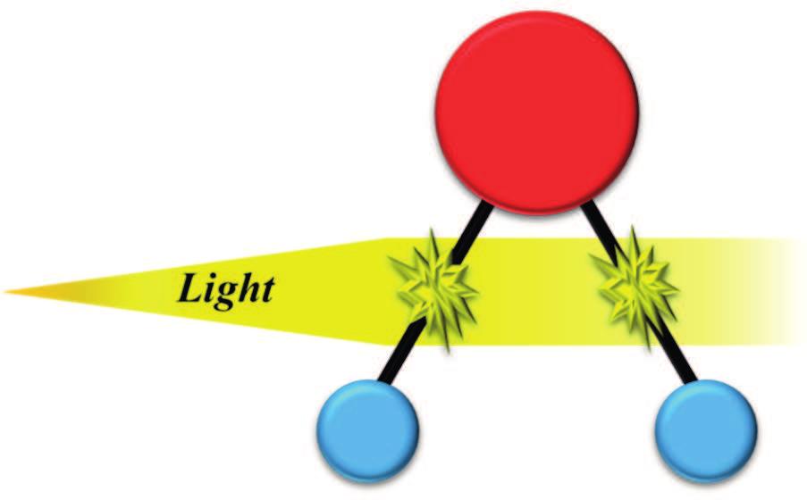 Fig. 1. Interaction of the electromagnetic waves (light) with water molecule (H 2O).
