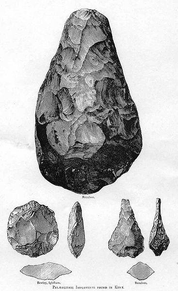 Tools (continued) H. erectus chipped both sides of the stone, symmetrically, to produce much better hand axes.