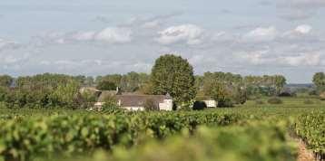 Blend: 85% Merlot, 15% Cabernet Franc Soils: 9 ha vineyard on the slopes of the