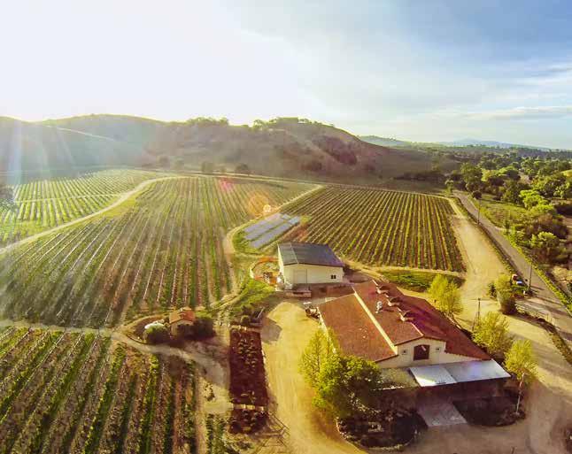 PASO ROBLES Chazz Roberts Photography Halfway between Los Angeles and San Francisco is Paso Robles Wine Country.