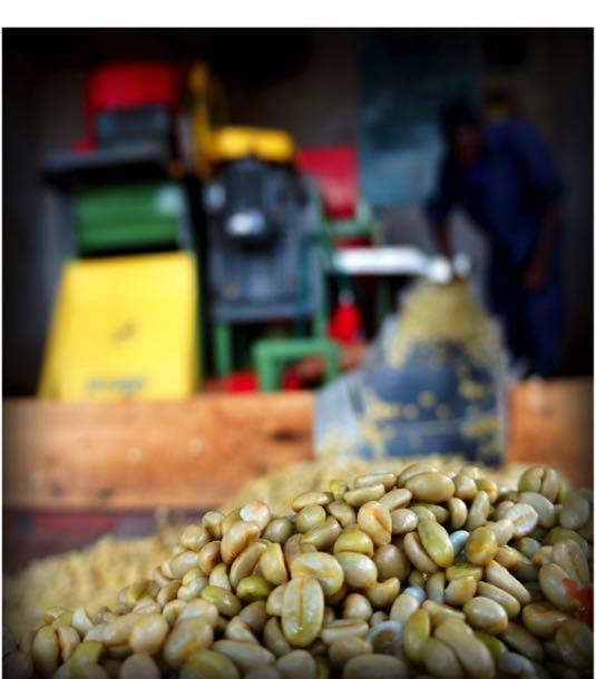 5 TechnoServe supports coffee quality improvement through adoption of efficient wet mill businesses WHAT WE DO Business Training supporting clients to enhance business efficiency.