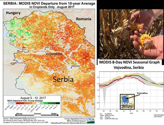 This unfavorable weather encompassed the entire Pannonian Basin which also includes the lowlands of Hungary, western Romania, and eastern Croatia but Serbian crops were hit especially hard, as the