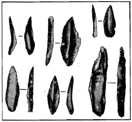 Burins (or graver was a blade made pointed by removing a facet along one edge in such a way that it can be repointed by removing another facet) were perfectly made and was an important tool for
