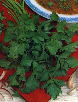 Cutting Celery Aromatic Lightly flavored Does not develop an enlarged stalk