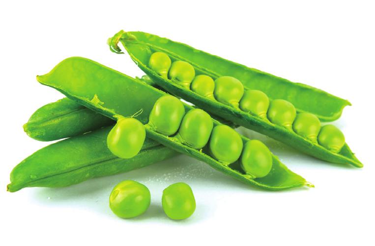 PEAS Peas are a member of the legume or bean family. Peas can be eaten fresh or cooked by steaming, sautéing, or stir-frying. Pea plants develop pods that enclose fleshy seeds.