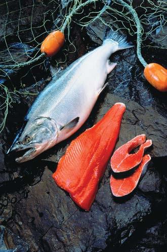 ct. Aqua Star Fillets 2 bag Salmon or Cod.