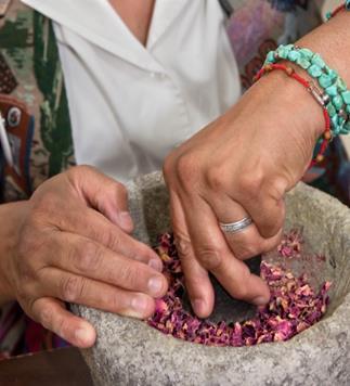 3- Grinding of the dried plants.