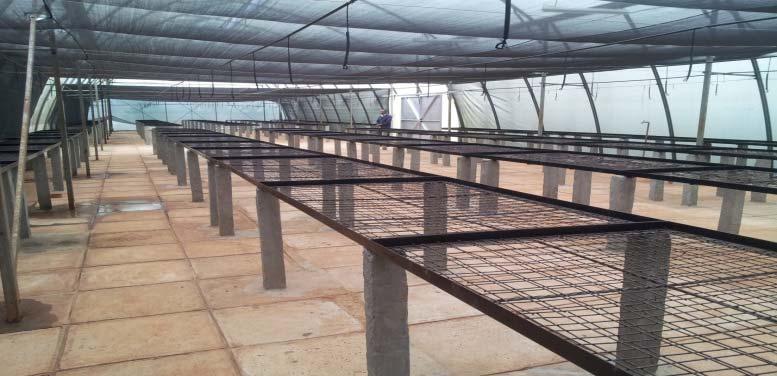 5 Greenhouses constructed (a) External