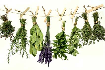 Whole Using Dried Herbs Ideal for dishes cooking an hour or more, usually removed before serving Ground Best in