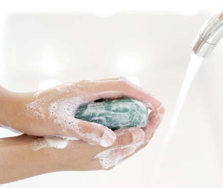 Basics for Handling Food Safely Prevent bacteria from spreading through your kitchen. Wash hands!