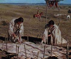 The Great Plains Indians Four important tribes in this culture
