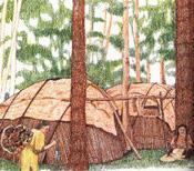 Eastern Woodlands Their food, shelter, clothing, weapons, and tools