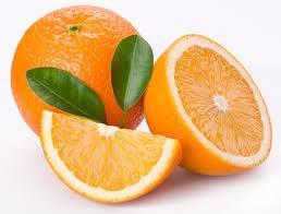 Juice Oranges: Can be likened to wine grapes in the way they vary; dramatic differences can be found in sugar content, juice content, color, flavor, number of seeds, fiber or pulp content, etc.